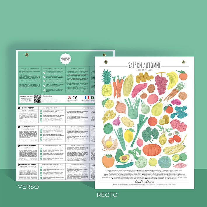 affiche de légumes et fruits de la saison Automne. Ici, le format affiche 30x40cm cartonnée, avec deux oeillets pour en simplifier la mise au mur. présentée recto avec des illustrations colorées et verso avec des jeux, discussions et traductions.