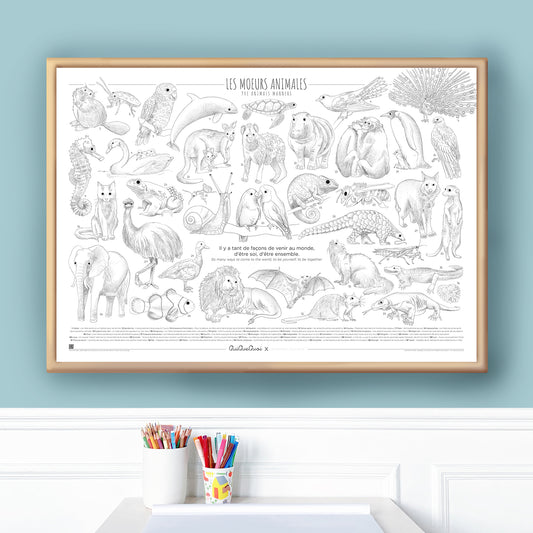 Moeurs Animales · Coloriage pour discuter