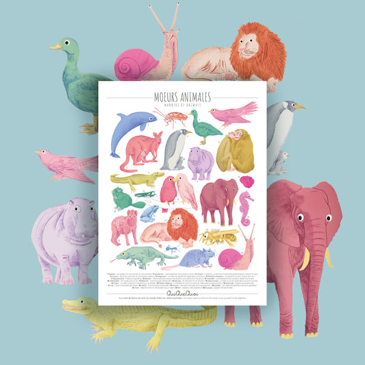 Moeurs Animales · Affiche de bavardages