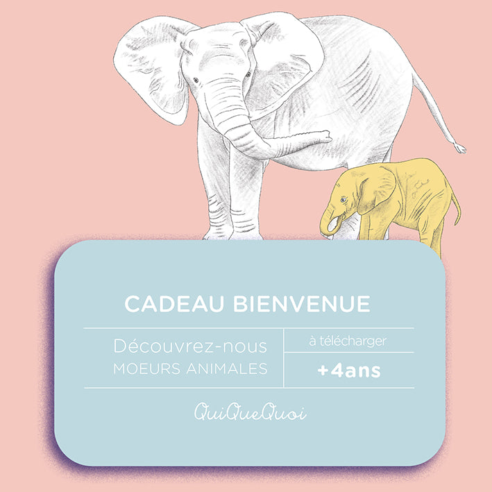 coloriages animaux à télécharger illustrations éléphant